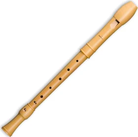 Mollenhauer 2206 Canta
