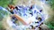 One Piece: Pirate Warriors 4 (PS4) Vorschaubild