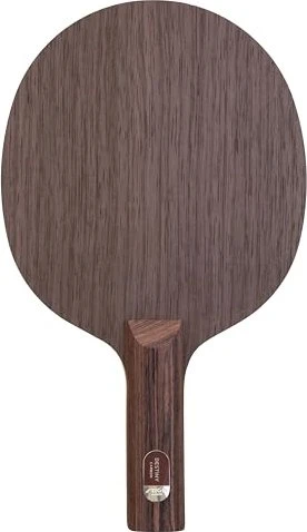 Stiga Destiny Carbon Holz