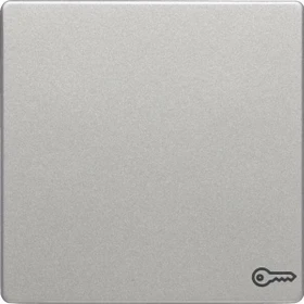 Berker Q.1/Q.3 Wippe mit Aufdruck Symbol für Türöffner, alu samt, lackiert