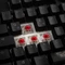 Ducky Shine 7 PBT, LEDs RGB, Blackout Edition, schwarz, MX RGB RED, USB, DE Vorschaubild