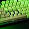 Glorious Raptor Clicky Switch, geschmiert, 36er-Pack Vorschaubild