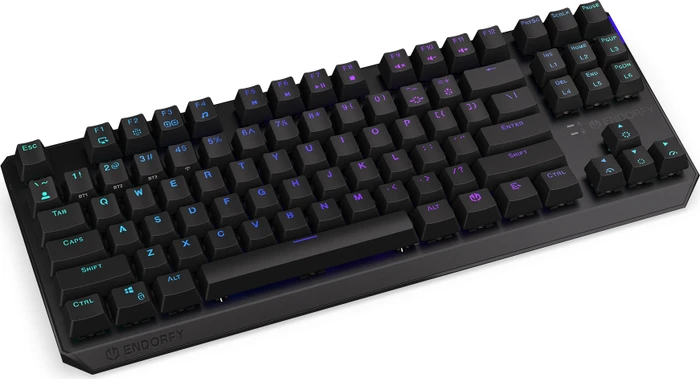 Endorfy Thock TKL Wireless, PBT, LEDs RGB, hot-swap, Black, Kailh Box BLACK, USB/Bluetooth, US