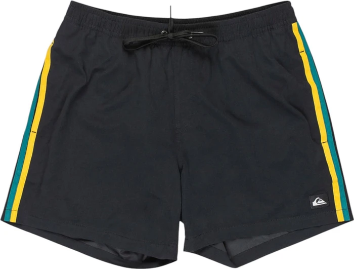 Quiksilver Everyday Beach 15" Badeshorts schwarz (Herren)
