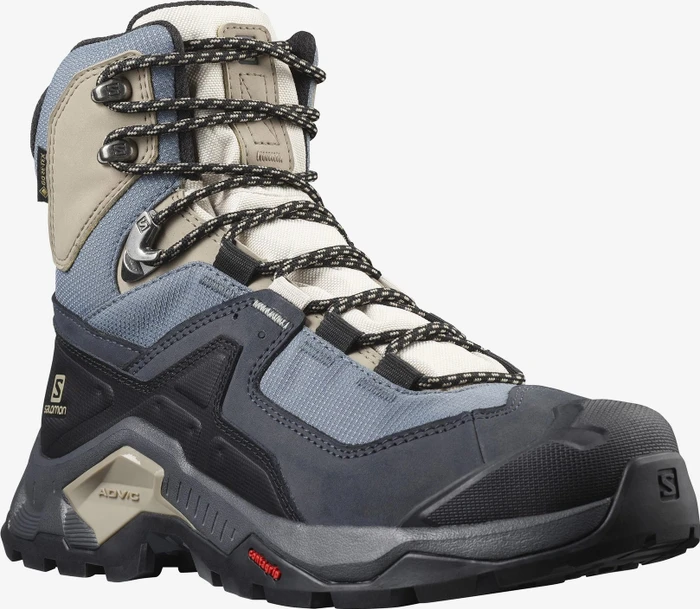 Salomon Quest Element GTX ebony/rainy day/stormy weather (Damen)