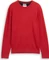 Tom Tailor Basic Baumwolle Strickpullover salsa red non-solid (Herren) Vorschaubild