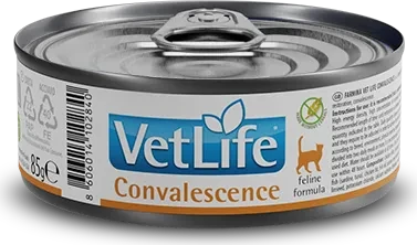 Convalescence, 1.02kg (12x 85g)