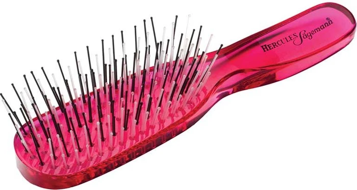 Hercules Sägemann Scalp Brush Piccolo brombeere