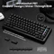 Attack Shark X82PRO HE Magnetic 75%, schwarz mit Kontur, LEDs RGB, Outemu White Jade Magnetic, USB/Bluetooth, US Vorschaubild