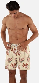 Barts Fervis Badeshorts cream (Herren)