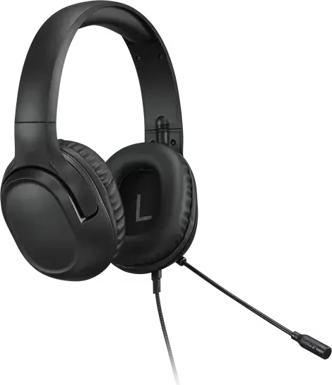 Lenovo H110