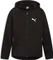 Puma Evostripe Hoodie (Herren) Vorschaubild