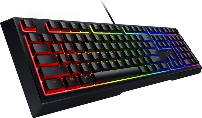 Razer Ornata V2, USB, DE