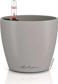 Lechuza Classico Color