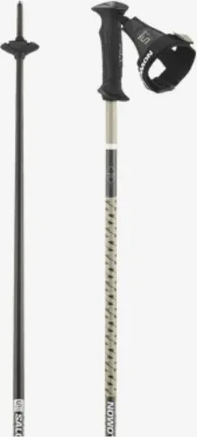 Salomon Polar Prime Ergo S3 Alpin Skistock light bronze metallic (Modell 2023/2024)