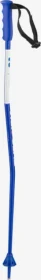 Salomon S/Race GS Alpin Skistock blau (Junior) (Modell 2023/2024)