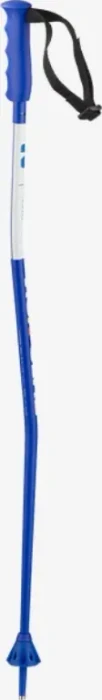 Salomon S/Race GS Alpin Skistock blau (Junior) (Modell 2023/2024)