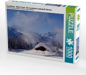 Calvendo TraumWinter - Winter Traum. Tief verschneite Landschaft. Schweiz