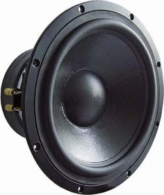 Visaton IW 300 - 8 Ohm, Stück