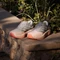 adidas Supernova Rise 3 clear orange/silver metallic/glory grey (Damen) Vorschaubild