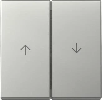 Gira Wippe 2fach mit Pfeilsymbol 3294