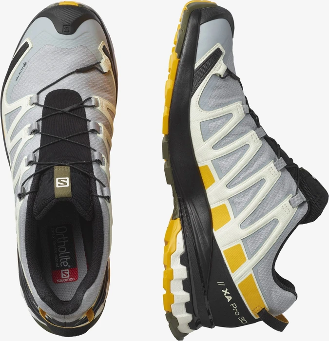 Salomon XA Pro 3D V8 GTX quarry/saffron/olive night (Herren)