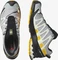 Salomon XA Pro 3D V8 GTX quarry/saffron/olive night (Herren) Vorschaubild