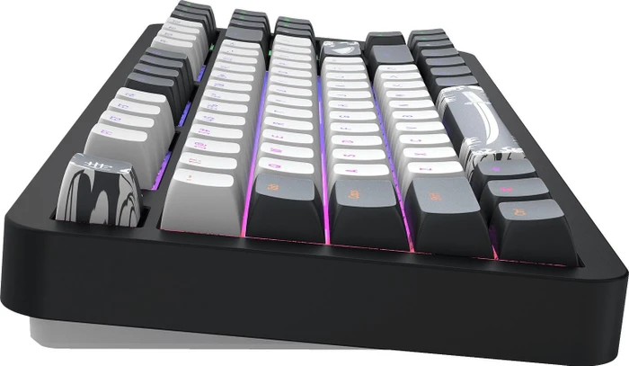 Dark Project ALU87B Bushido Gaming Keyboard, schwarz/weiß, LEDs RGB, g3ms Moonstone, USB, US