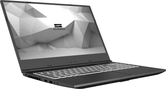 Schenker Media 15-E20vmn, Core i7-10750H, 32GB RAM, 1TB SSD, GeForce RTX 2060, DE