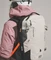 Ortovox Avabag Litric Freeride 16 S white tea Vorschaubild