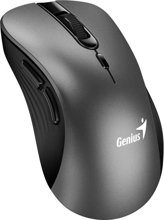 Genius Ergo 8100S Wireless Ergonomic Silent Mouse Iron Grey, USB