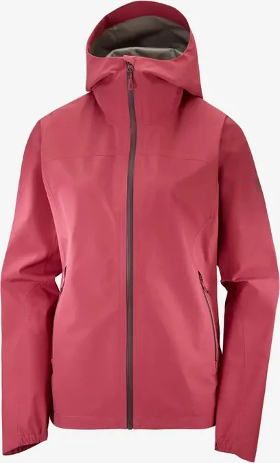 Salomon Outline Gore-Tex 2.5L (Damen)