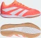 adidas Predator Club Sala IN signal coral/cloud white/beam orange (Junior) Vorschaubild
