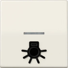 Jung Serie AS Wippe antibakteriell mit abtastbarem Symbol "Licht", weiß