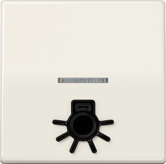 Jung Serie AS Wippe antibakteriell mit abtastbarem Symbol "Licht", weiß