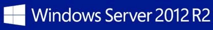 Microsoft Windows Server 2012 R2 Standard 64Bit 2 CPUs, OEM/DSP/SB (deutsch) (PC)