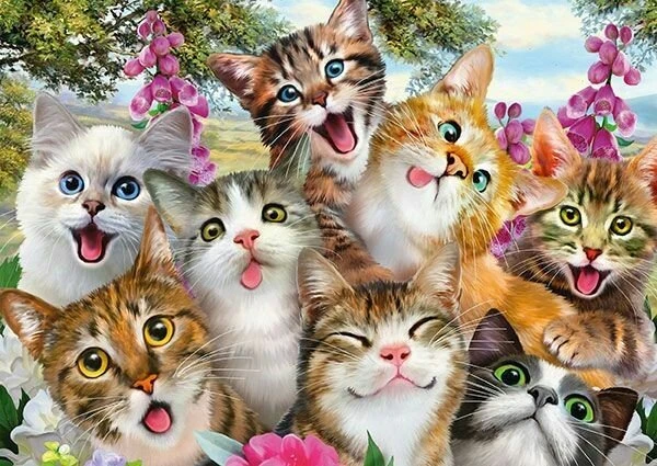 Schmidt Spiele Katzen-Selfie