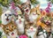 Schmidt Spiele Katzen-Selfie Vorschaubild