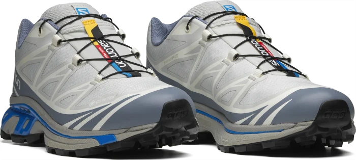Salomon XT-6 GTX metal/flint stone/ghost gray
