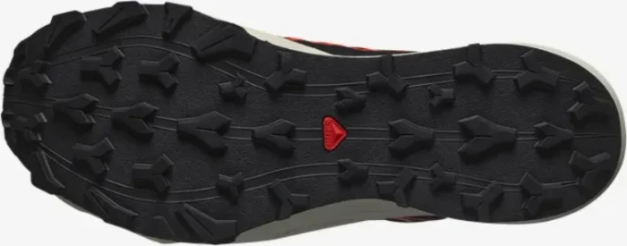 Salomon Thundercross GTX turbulence/black/cherry tomato (Herren)