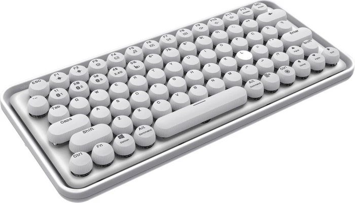 Rapoo Ralemo Pre 5 Multi-mode, weiß, LEDs weiß, BLUE Switches, USB/Bluetooth, DE