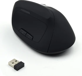 Ewent Wireless Ergonomic Mouse schwarz, USB (EW3158)
