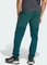 adidas Terrex Xperior Light Hose lang aurora ivy (Herren) Vorschaubild