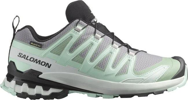Salomon XA Pro 3D V9 GTX quiet shade/lily pad/blue haze (Damen)