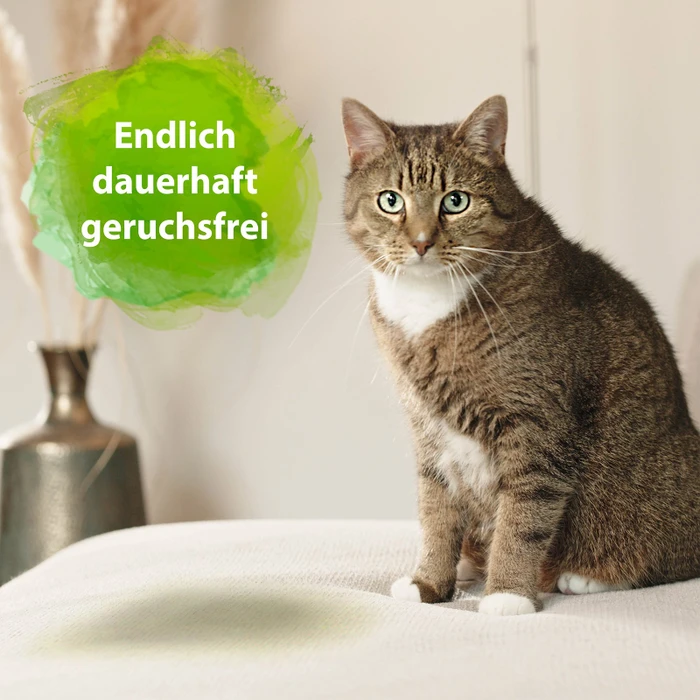 Ardap - Bactador Katzentoiletten Geruchsentferner, 500ml