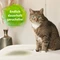 Ardap - Bactador Katzentoiletten Geruchsentferner, 500ml Vorschaubild