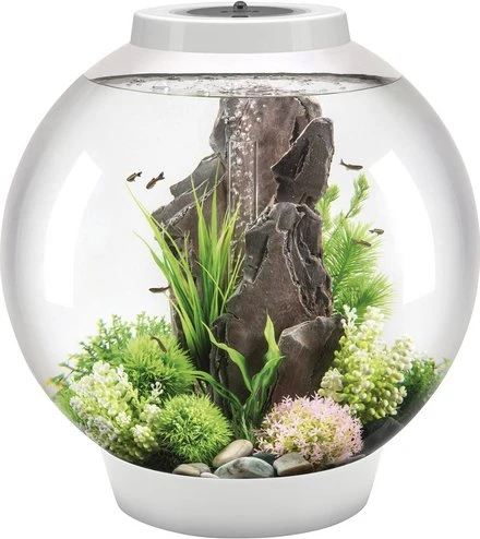 Oase biOrb Classic 60 LED Aquarium-Set, weiß, 60l