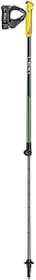 Leki Walker XS Modell 2024 Nordic Walking Stöcke (Junior)
