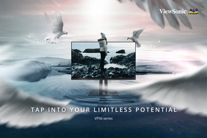 ViewSonic ColorPro VP3256-4K, 31.5"