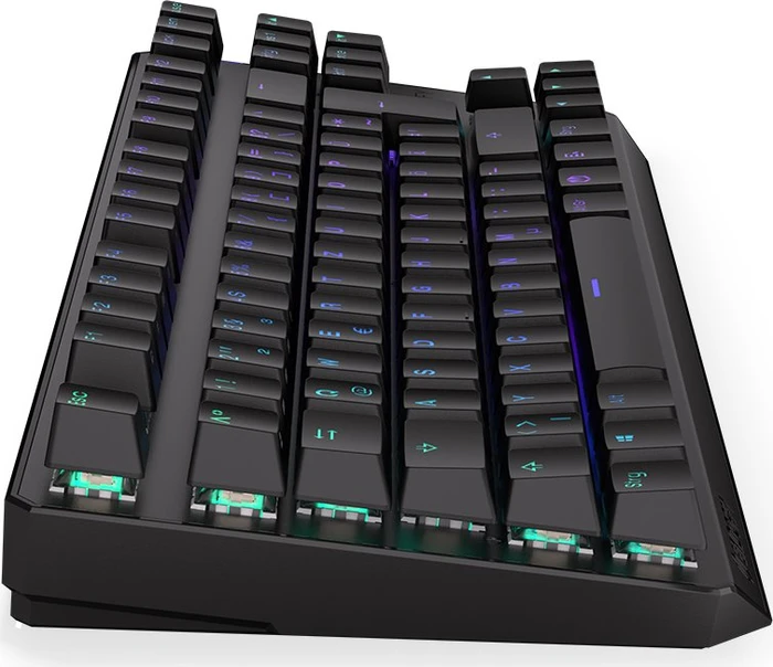 Endorfy Thock TKL Wireless, PBT, LEDs RGB, hot-swap, Kailh Box RED, USB/Bluetooth, DE